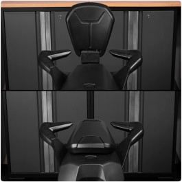 EvolutionR Series Large Foldable Passenger Backrest for the Can-Am Ryker