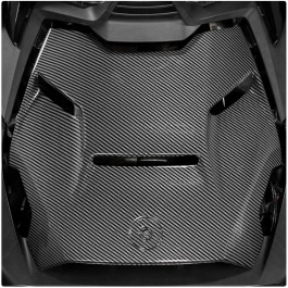 EvolutionR Series Plastic Carbon Fiber Pattern Hood for the Can-Am Ryker