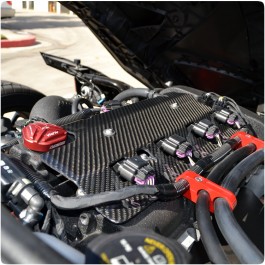 TricLine Carbon Fiber Coil Pack Cover for the Polaris Slingshot